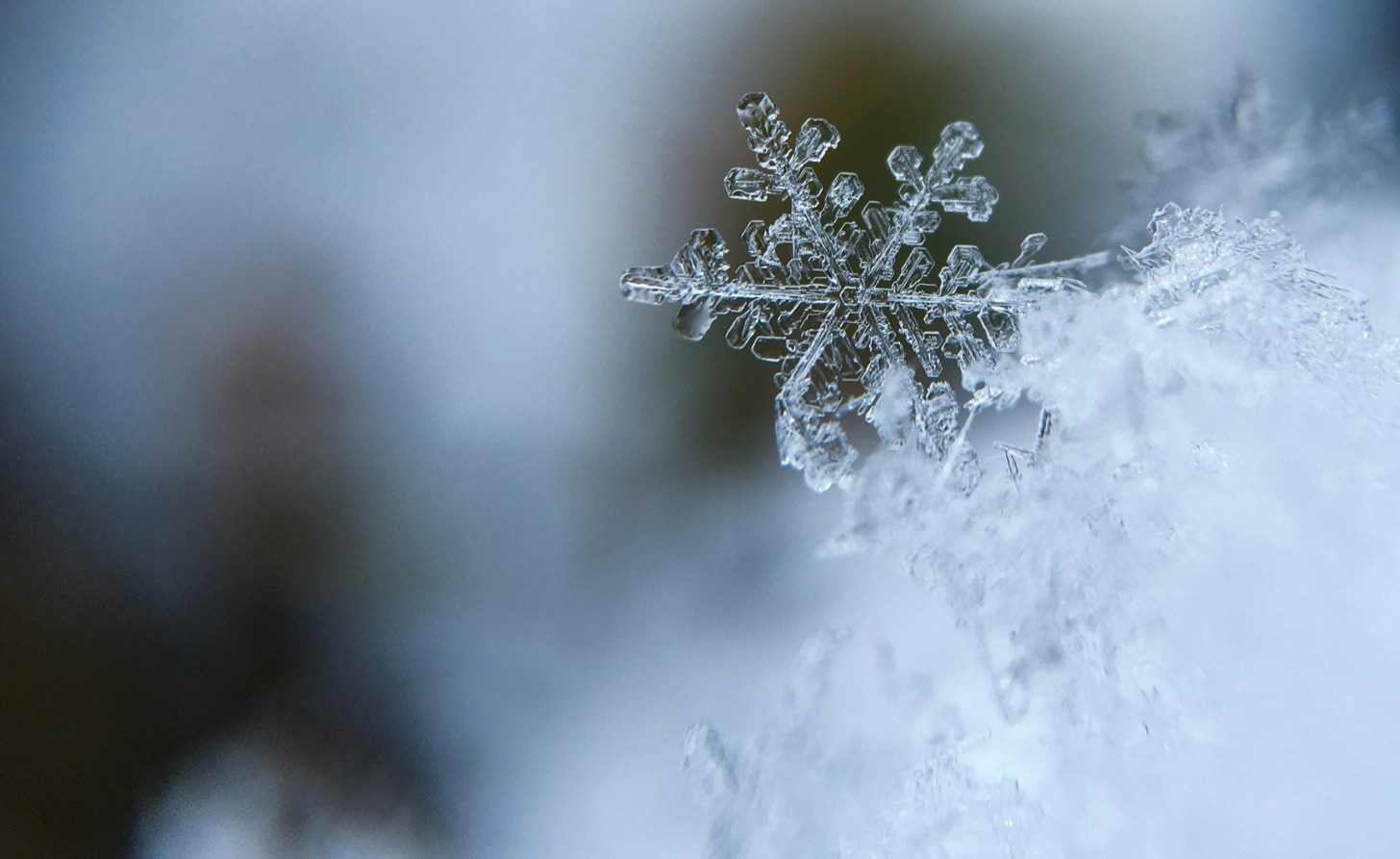 Cristalli di ghiaccio, che molti tra noi ormai vedono solo in foto, date le temperature. Foto di Aaron Burden su Unsplash