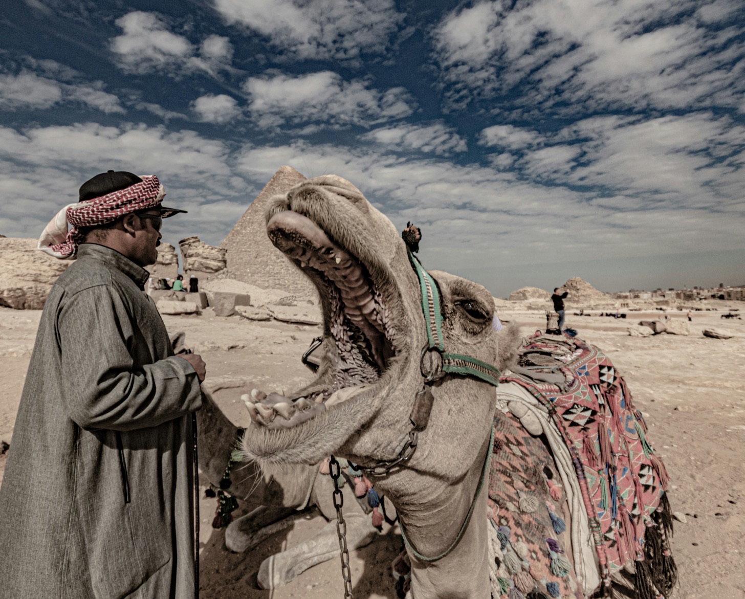 Nervosetti come il dromedario, apprestiamoci a guardare il problema della documentazione, vecchio come le piramidi. Il capocantiere delle piramidi, infatti, con ogni probabilità strillava anche lui “RTFM”. Foto di Michael Starkie su Unsplash