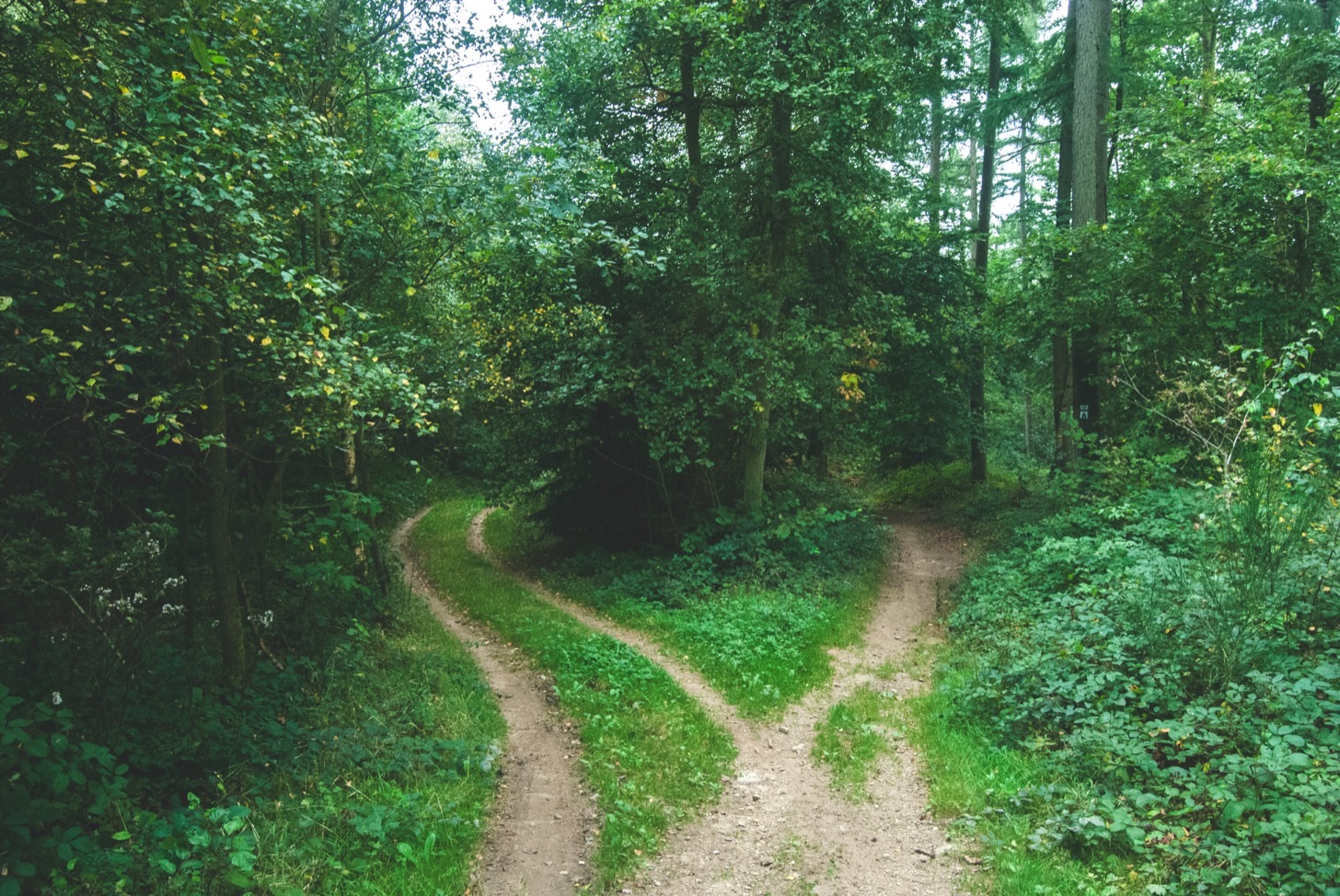 Foto di Jens Lelie su Unsplash