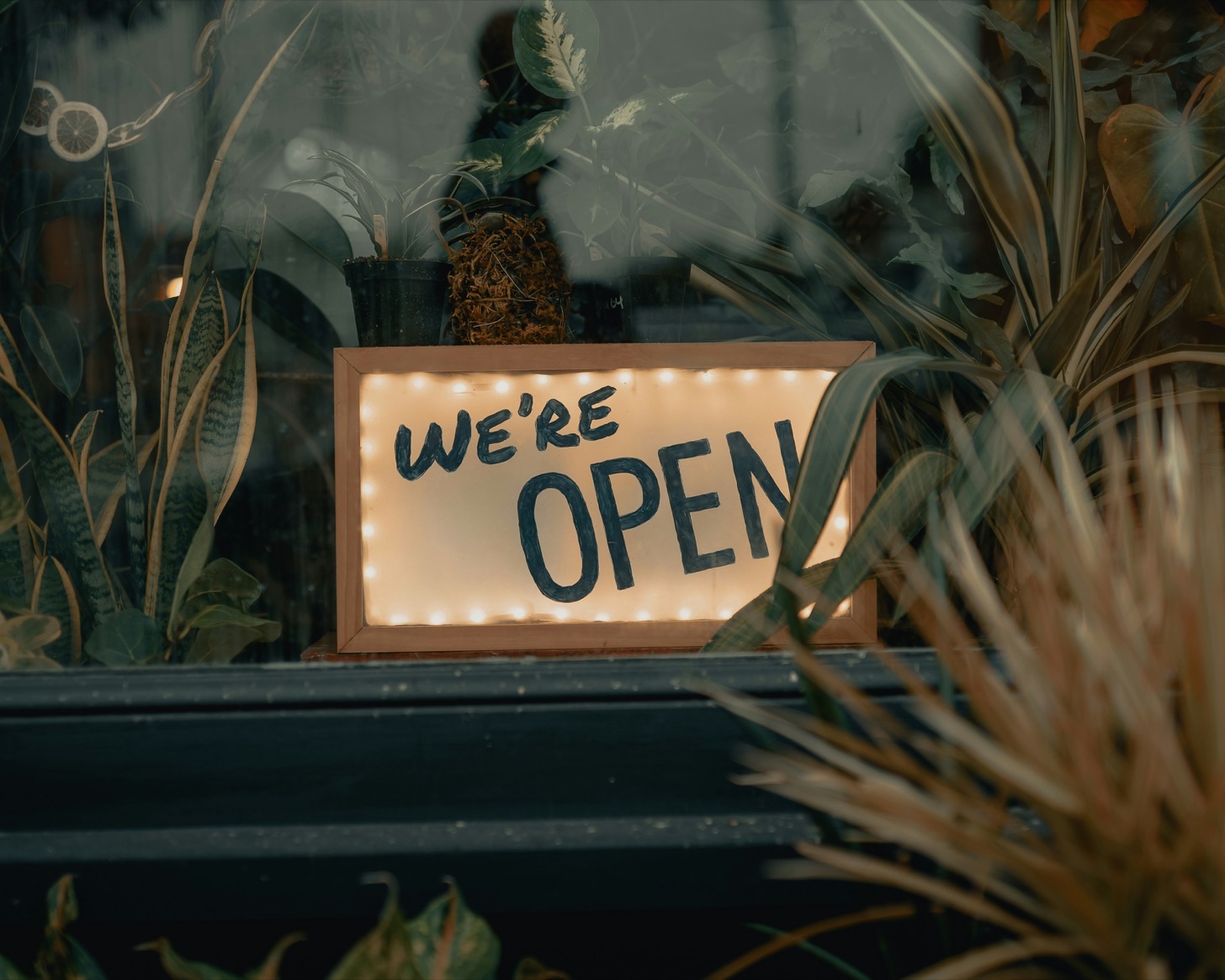 Foto di Clay Banks su Unsplash