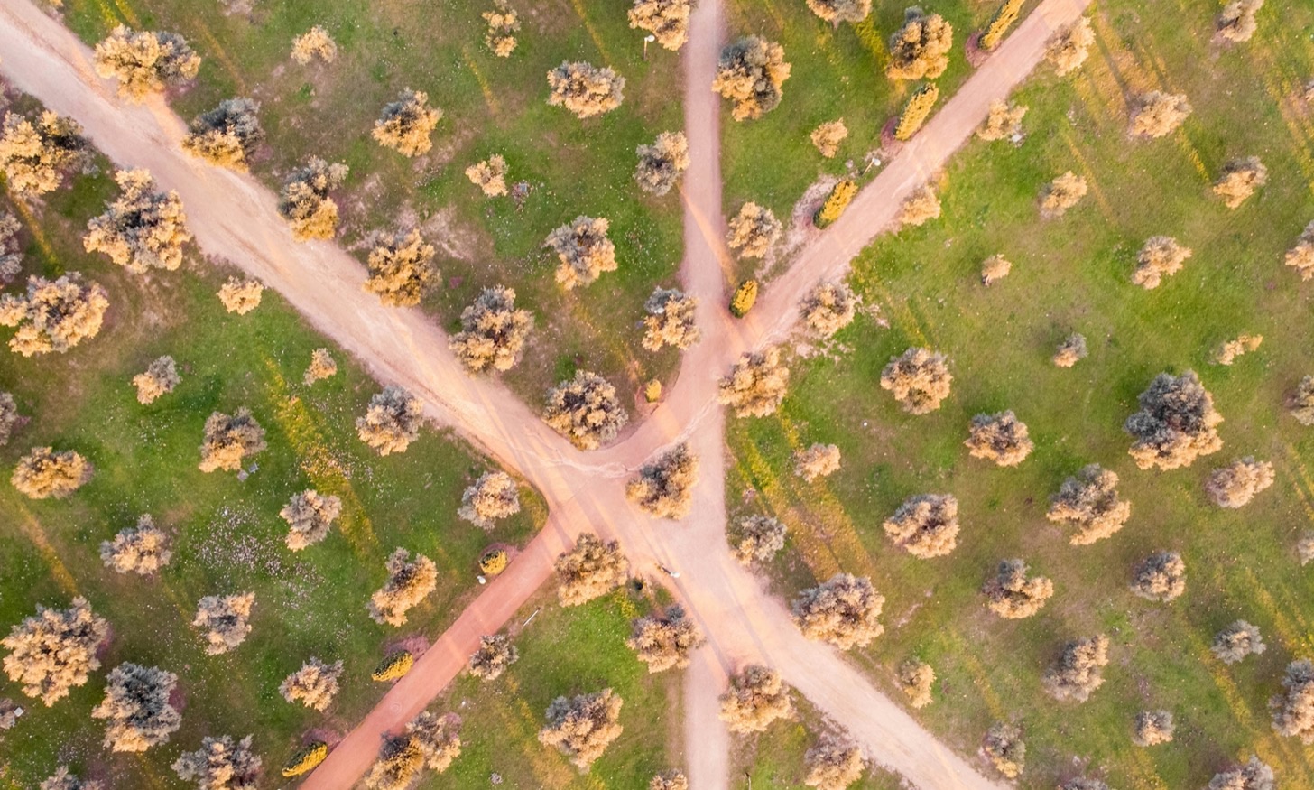 Foto di Victor su Unsplash