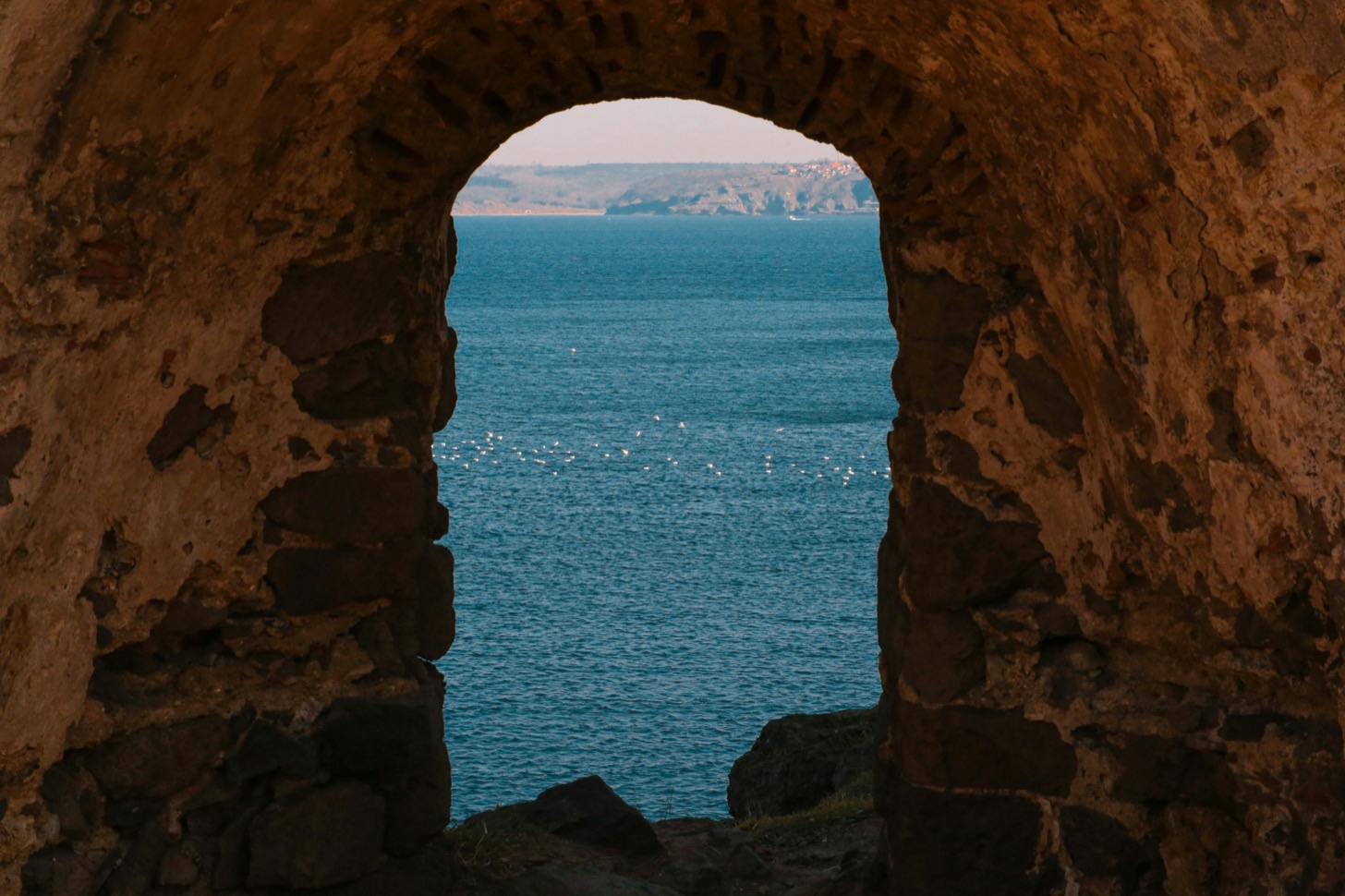 Foto di İlayda İşeri su Unsplash