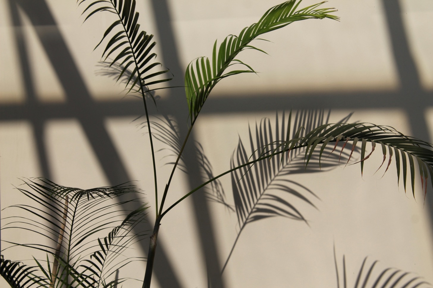 Foto di Marra su Unsplash