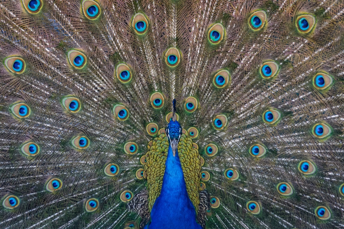 Foto di Steve Harvey su Unsplash