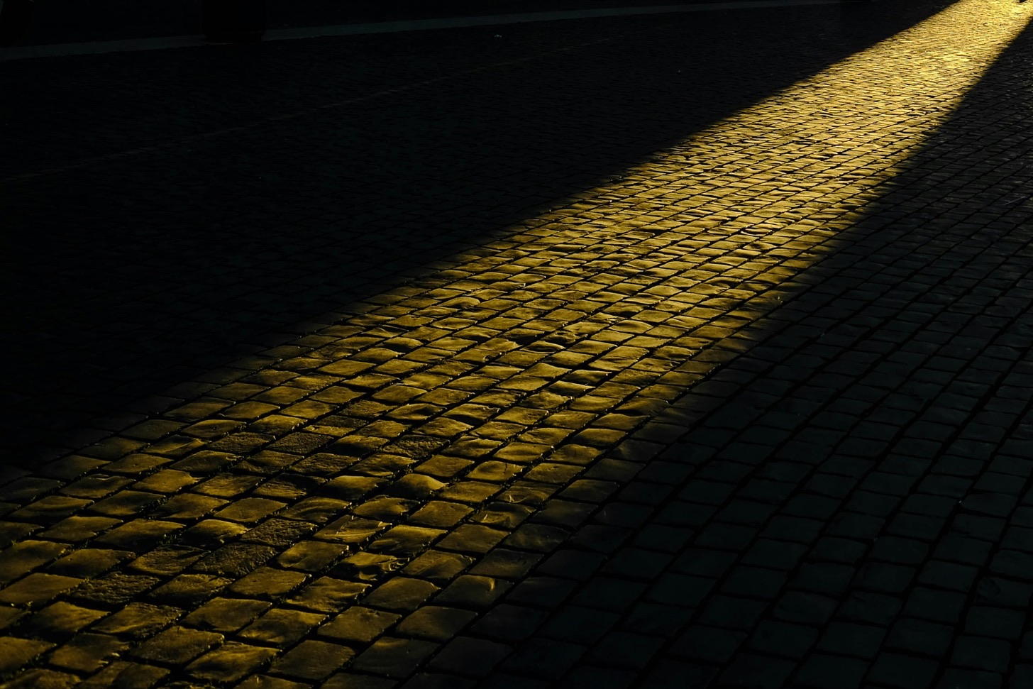 Foto di Ray Fragapane su Unsplash